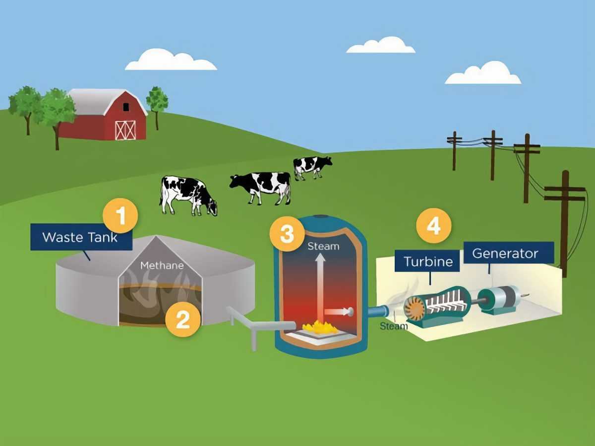 Quá trình phát điện sinh học Biogas