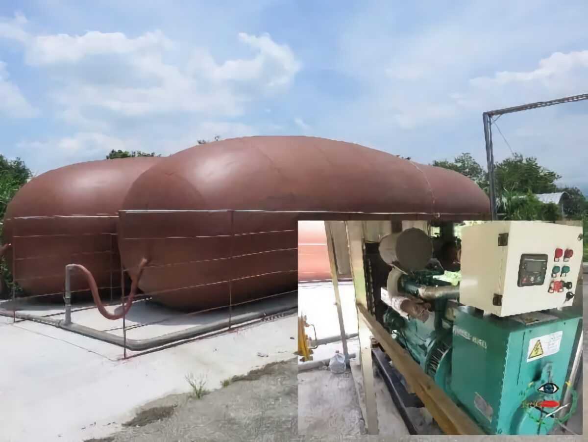 Có thể sử dụng Biogas để sản xuất điện không 1